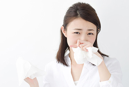 乳酸菌と花粉症の関係